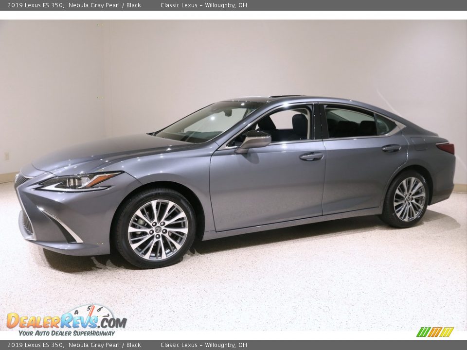 2019 Lexus ES 350 Nebula Gray Pearl / Black Photo #3