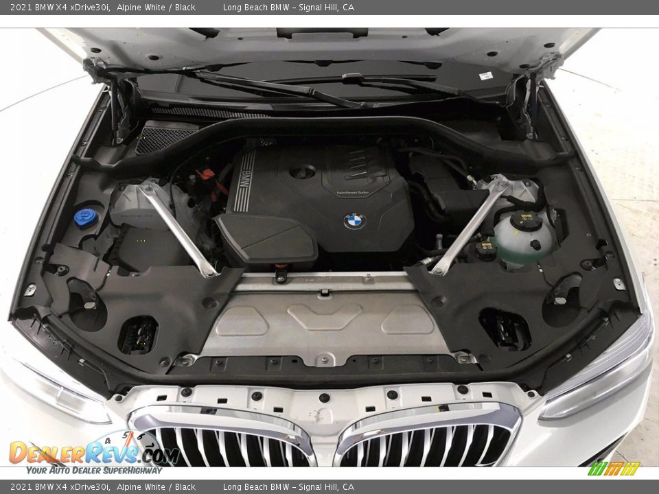 2021 BMW X4 xDrive30i Alpine White / Black Photo #10