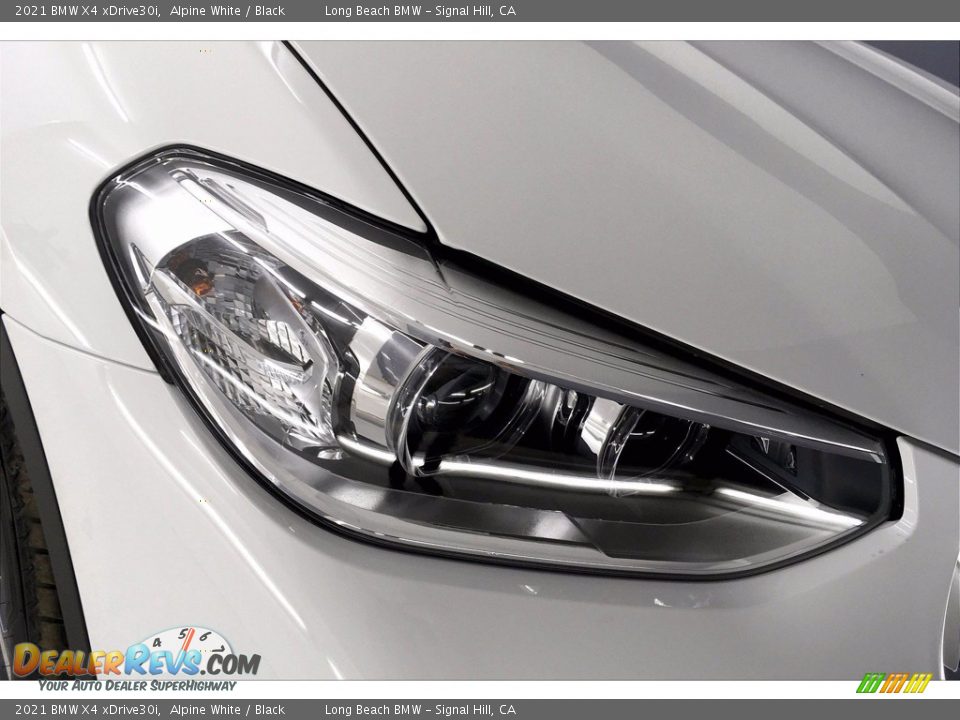 2021 BMW X4 xDrive30i Alpine White / Black Photo #14