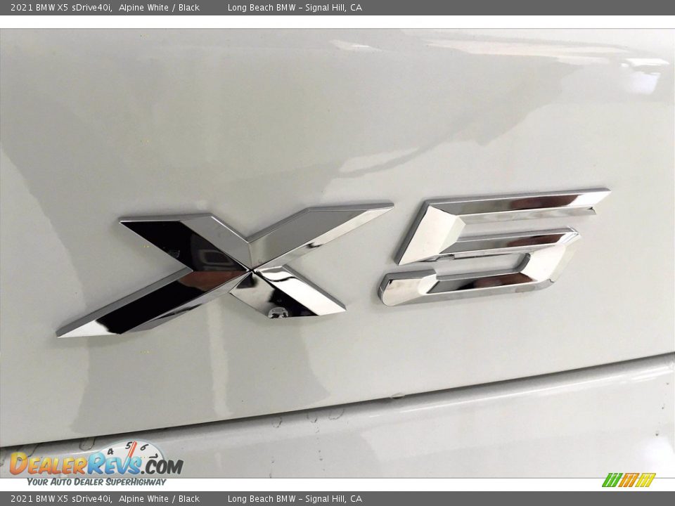 2021 BMW X5 sDrive40i Logo Photo #16
