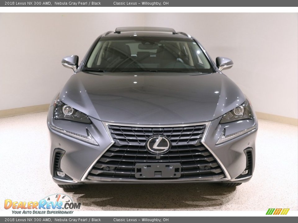 2018 Lexus NX 300 AWD Nebula Gray Pearl / Black Photo #2