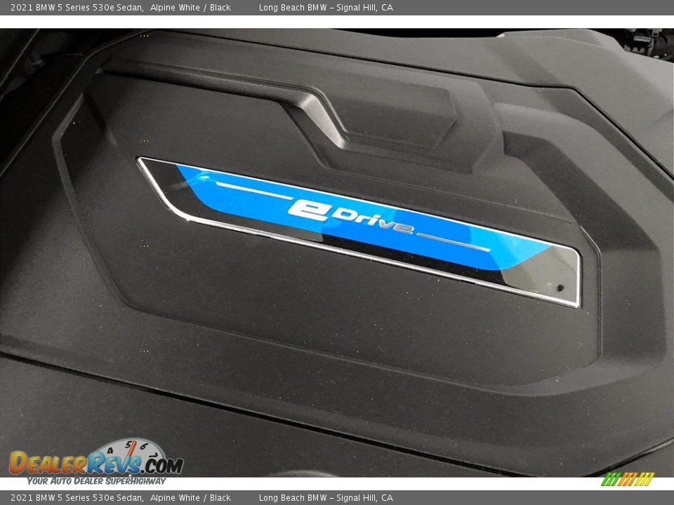 2021 BMW 5 Series 530e Sedan Logo Photo #11