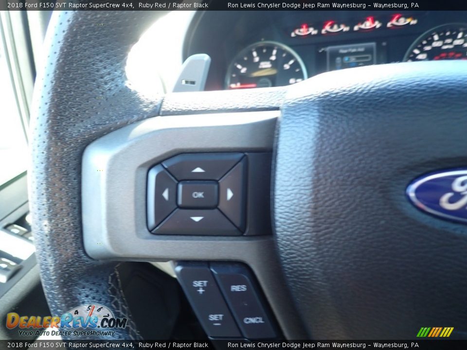 2018 Ford F150 SVT Raptor SuperCrew 4x4 Ruby Red / Raptor Black Photo #20