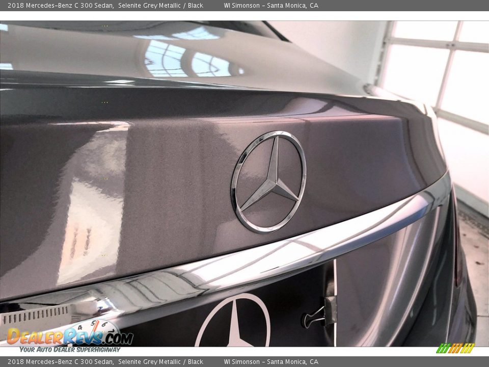 2018 Mercedes-Benz C 300 Sedan Selenite Grey Metallic / Black Photo #7