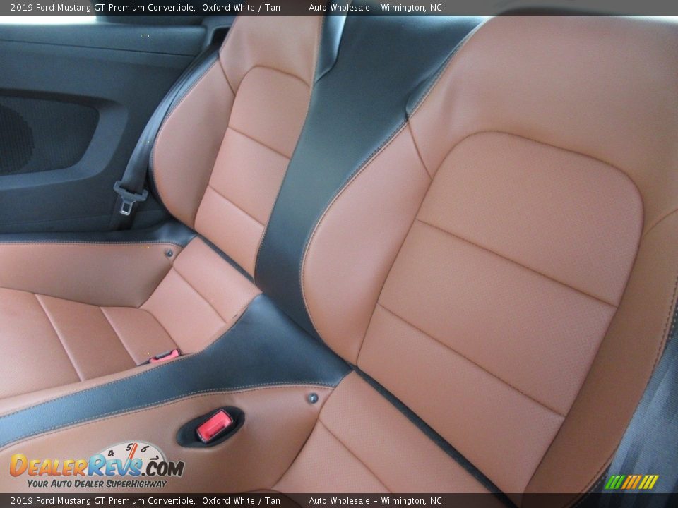 Rear Seat of 2019 Ford Mustang GT Premium Convertible Photo #12