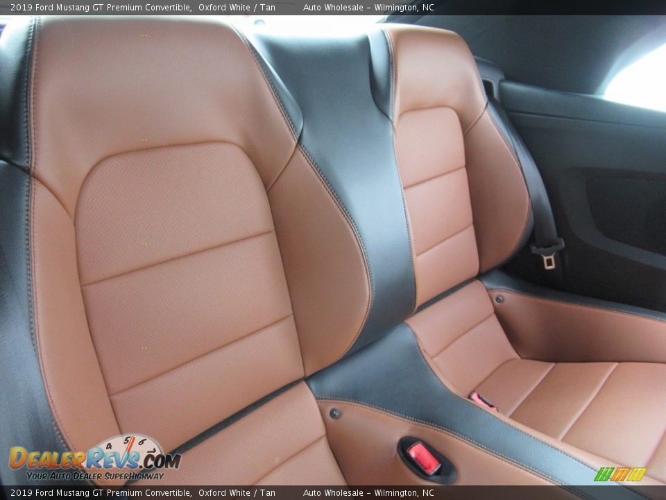 Rear Seat of 2019 Ford Mustang GT Premium Convertible Photo #14