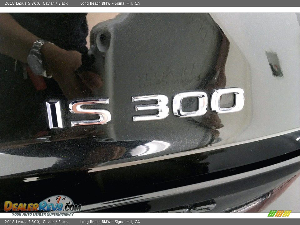 2018 Lexus IS 300 Logo Photo #7