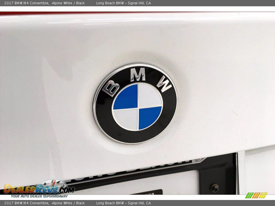 2017 BMW M4 Convertible Logo Photo #32