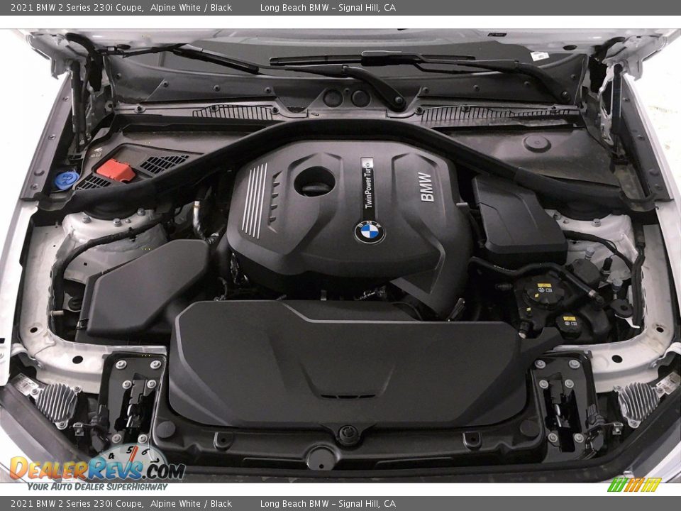 2021 BMW 2 Series 230i Coupe Alpine White / Black Photo #10