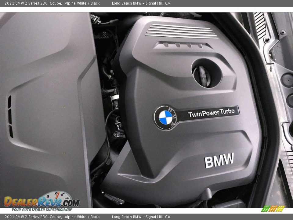 2021 BMW 2 Series 230i Coupe Alpine White / Black Photo #11