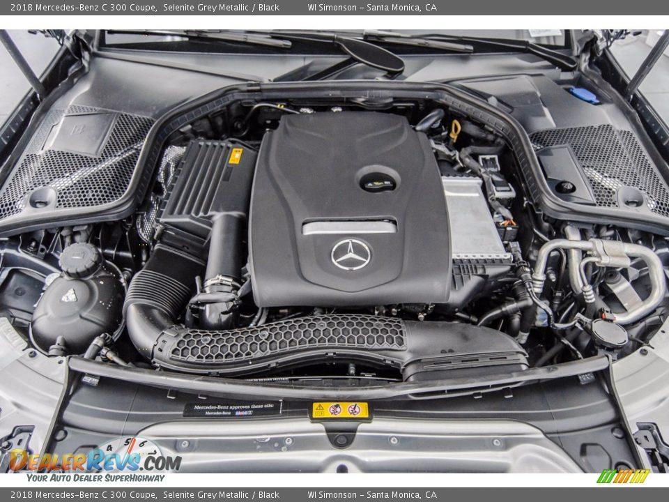 2018 Mercedes-Benz C 300 Coupe Selenite Grey Metallic / Black Photo #8