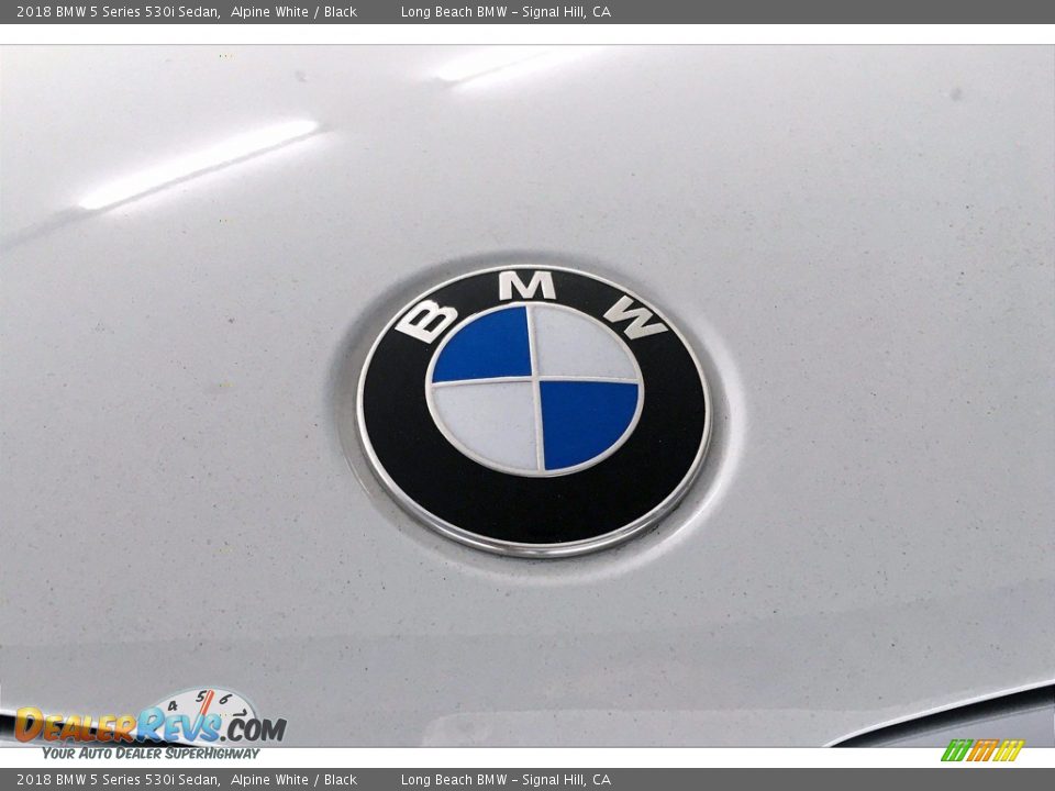 2018 BMW 5 Series 530i Sedan Alpine White / Black Photo #33