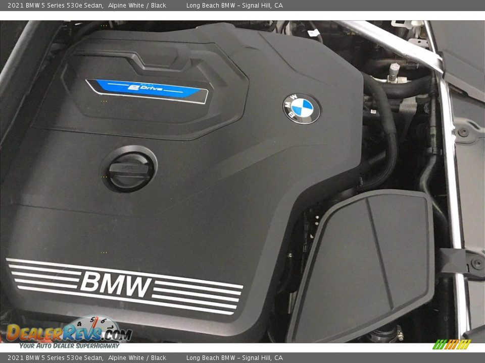 2021 BMW 5 Series 530e Sedan Logo Photo #11