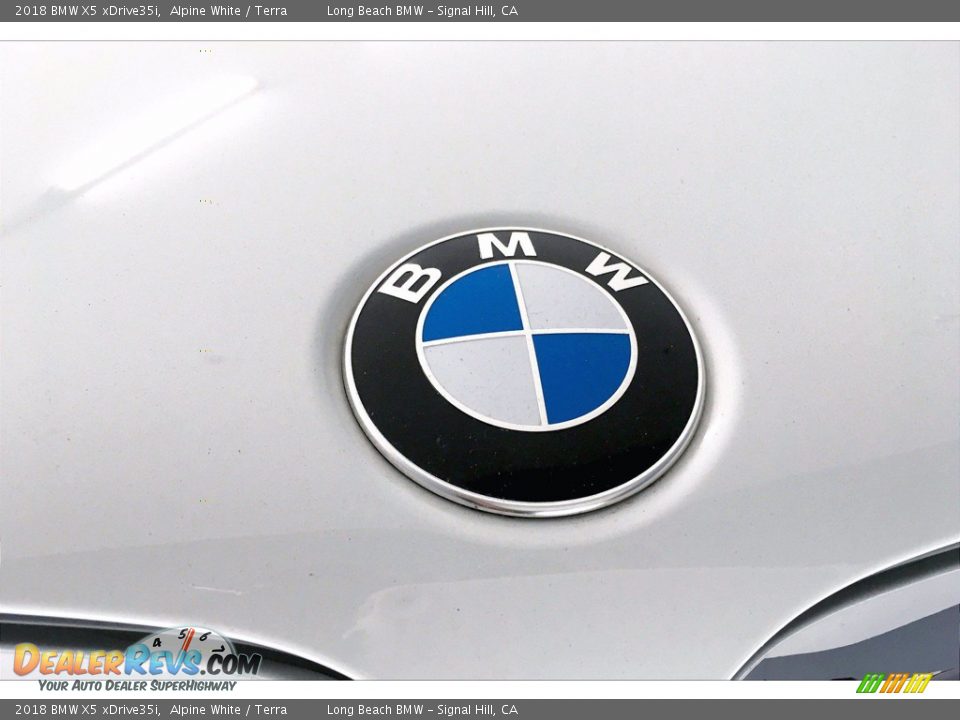 2018 BMW X5 xDrive35i Alpine White / Terra Photo #33