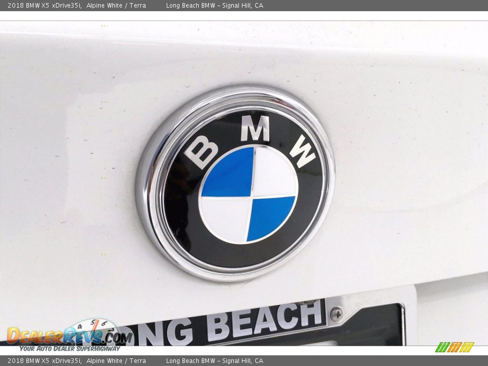 2018 BMW X5 xDrive35i Alpine White / Terra Photo #34