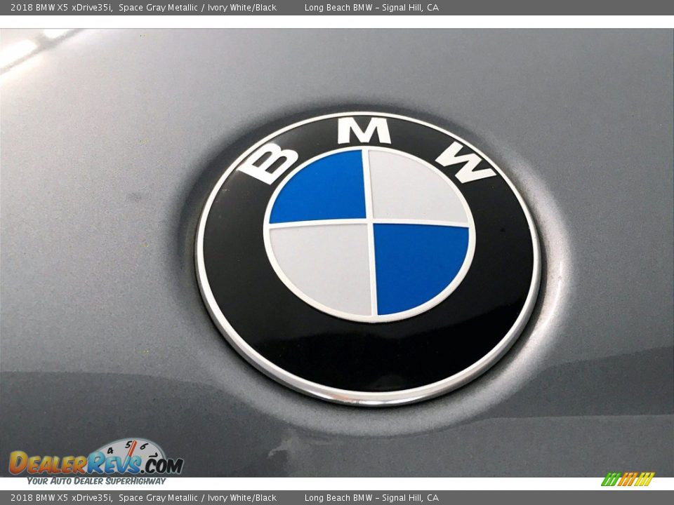 2018 BMW X5 xDrive35i Space Gray Metallic / Ivory White/Black Photo #33