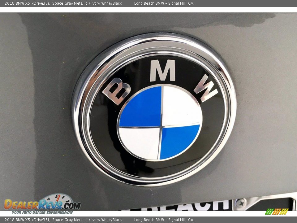 2018 BMW X5 xDrive35i Space Gray Metallic / Ivory White/Black Photo #34