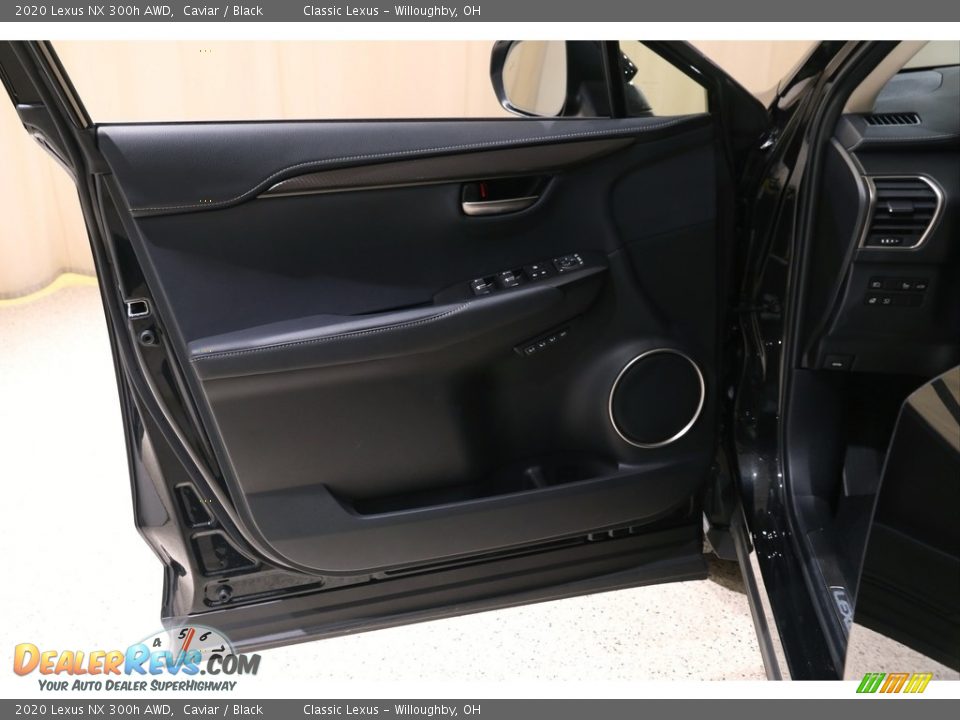 Door Panel of 2020 Lexus NX 300h AWD Photo #4