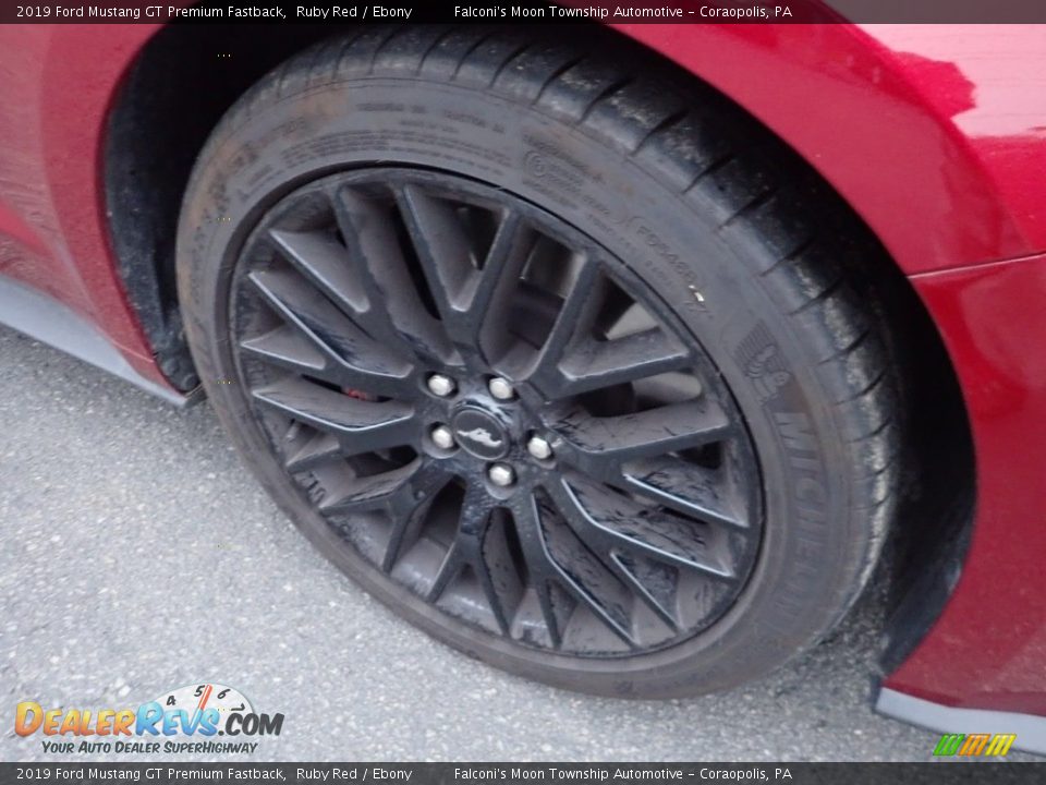 2019 Ford Mustang GT Premium Fastback Ruby Red / Ebony Photo #9