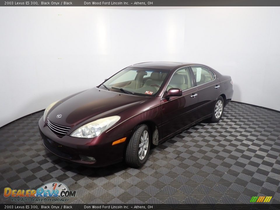 2003 Lexus ES 300 Black Onyx / Black Photo #8