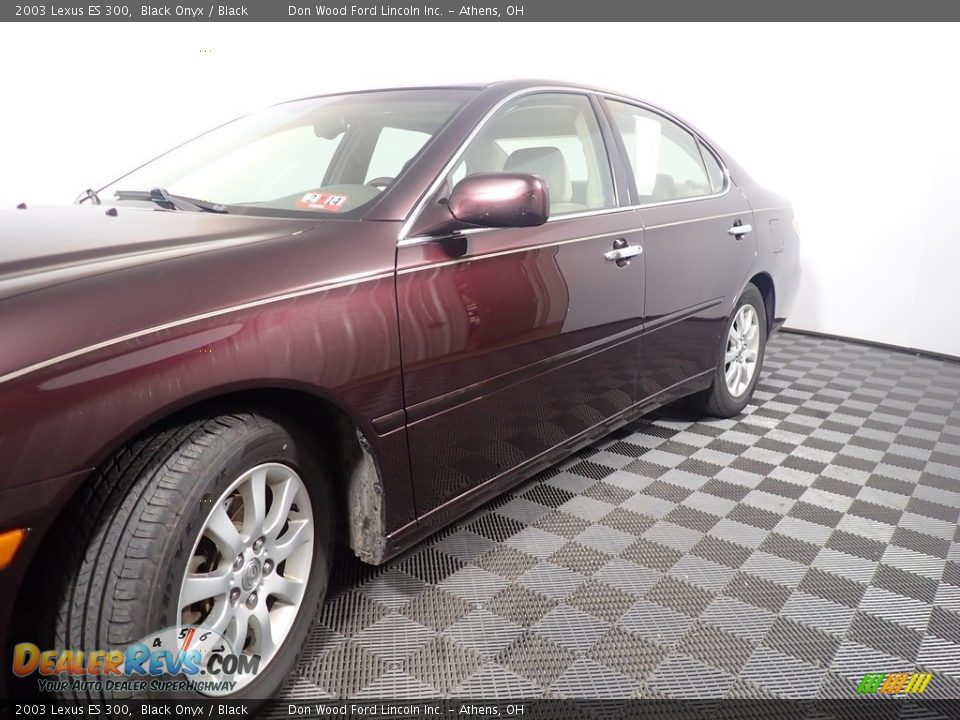 2003 Lexus ES 300 Black Onyx / Black Photo #9