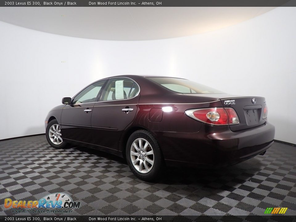 2003 Lexus ES 300 Black Onyx / Black Photo #10