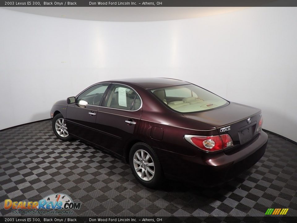 2003 Lexus ES 300 Black Onyx / Black Photo #11