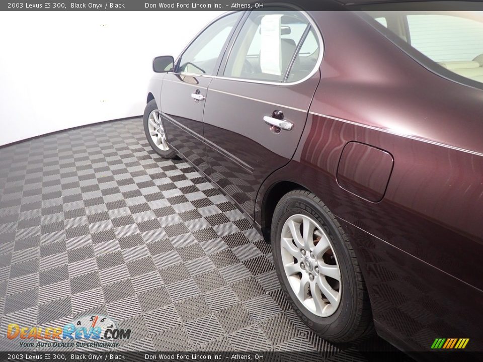 2003 Lexus ES 300 Black Onyx / Black Photo #17