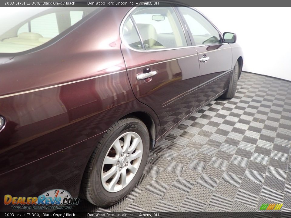 2003 Lexus ES 300 Black Onyx / Black Photo #18