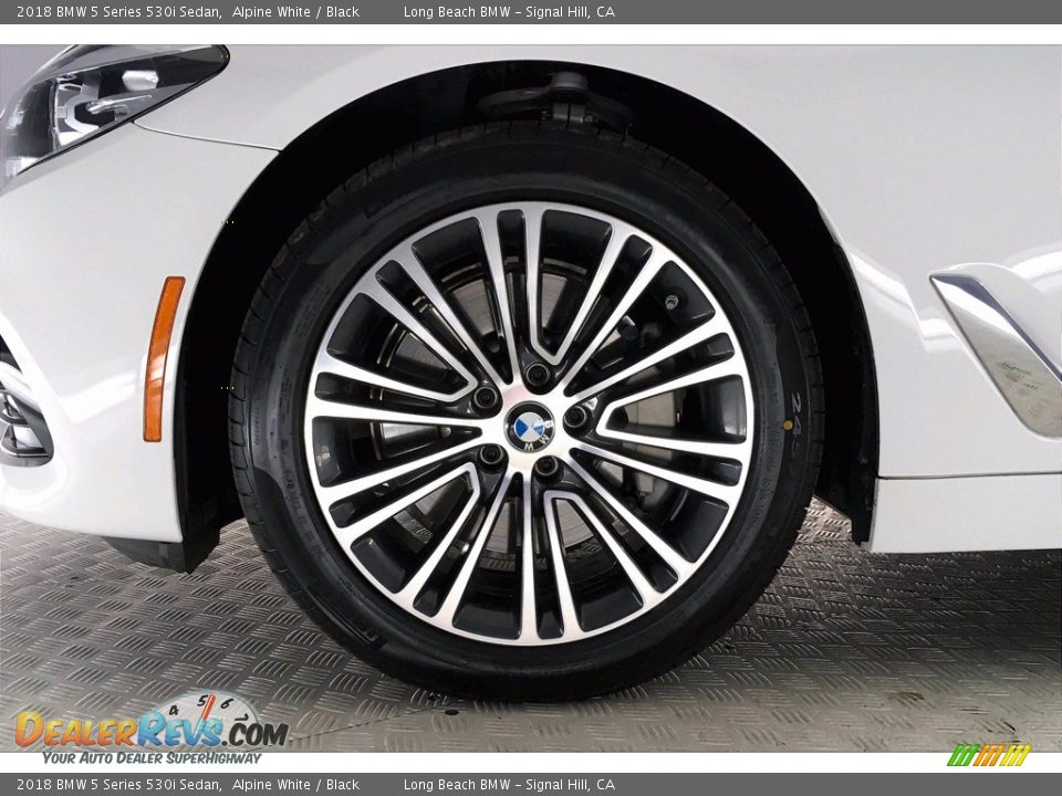 2018 BMW 5 Series 530i Sedan Alpine White / Black Photo #8