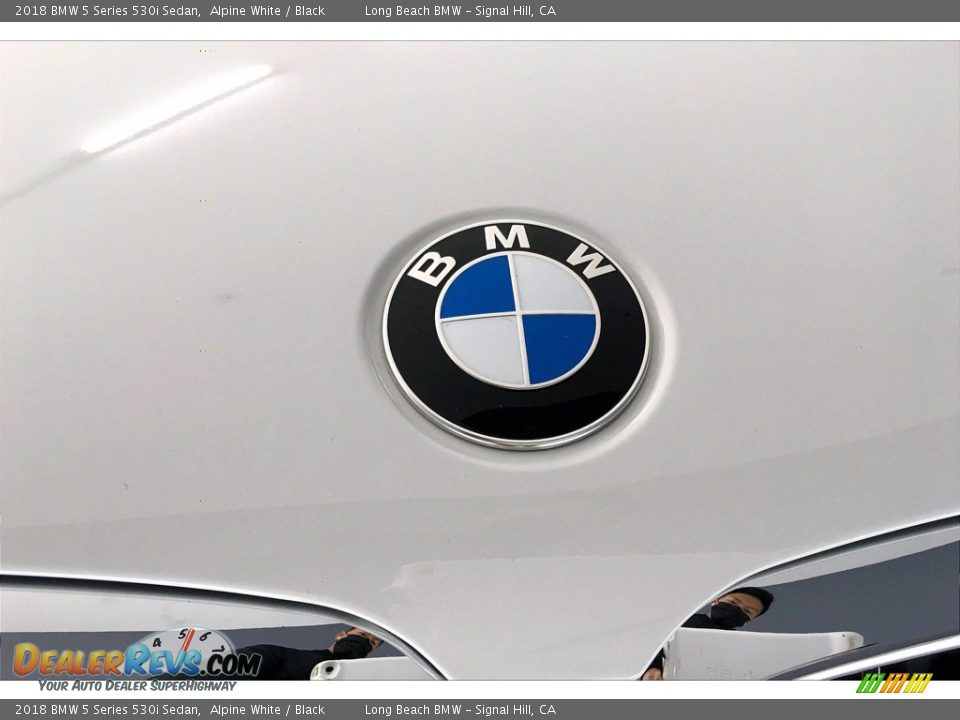 2018 BMW 5 Series 530i Sedan Alpine White / Black Photo #33