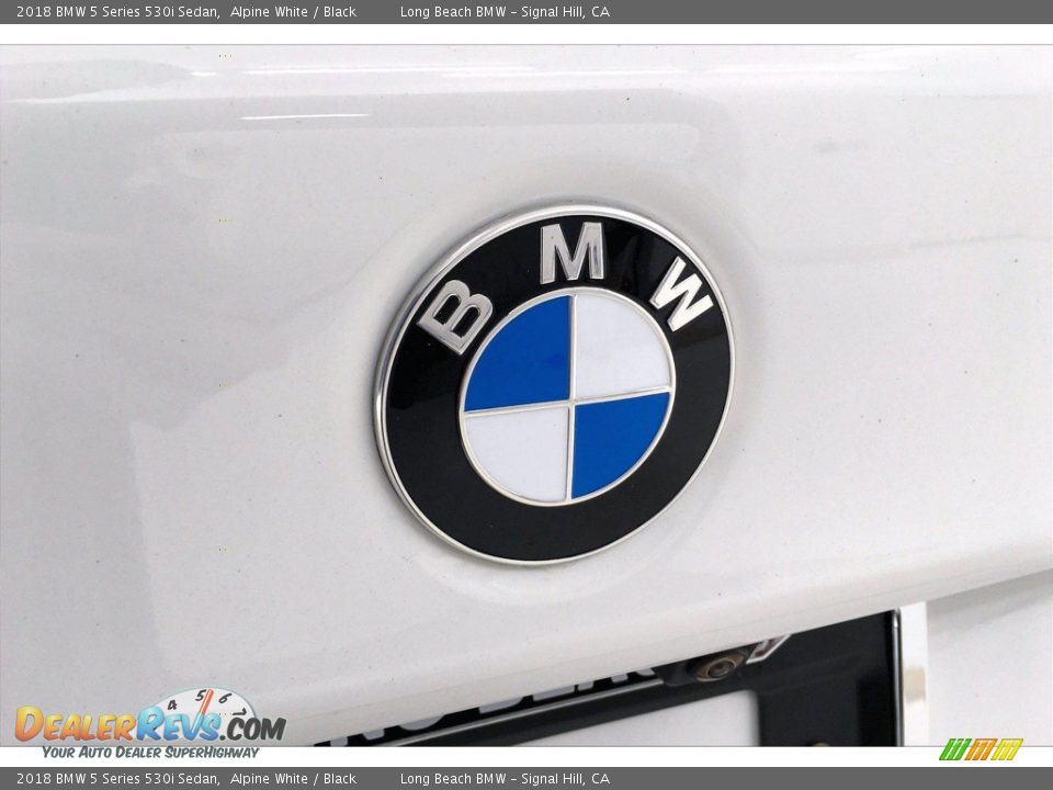 2018 BMW 5 Series 530i Sedan Alpine White / Black Photo #34