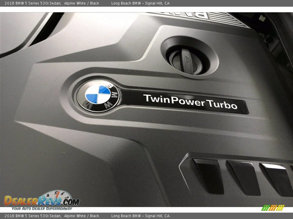 2018 BMW 5 Series 530i Sedan Alpine White / Black Photo #35
