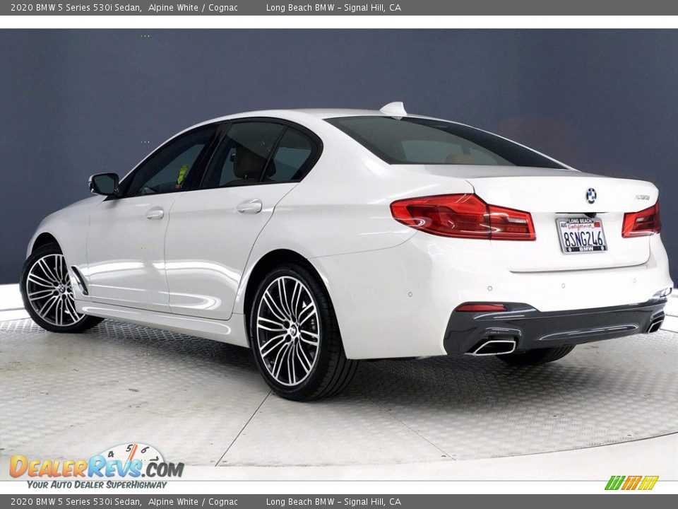 2020 BMW 5 Series 530i Sedan Alpine White / Cognac Photo #10