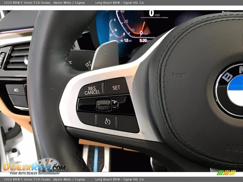 2020 BMW 5 Series 530i Sedan Steering Wheel Photo #18