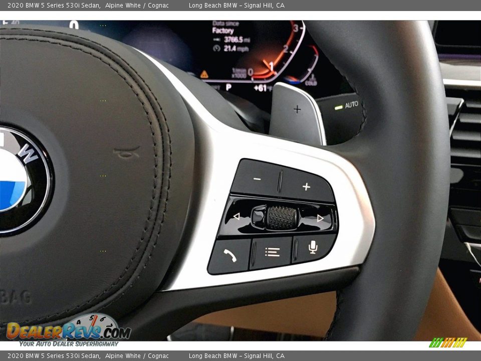 2020 BMW 5 Series 530i Sedan Steering Wheel Photo #19