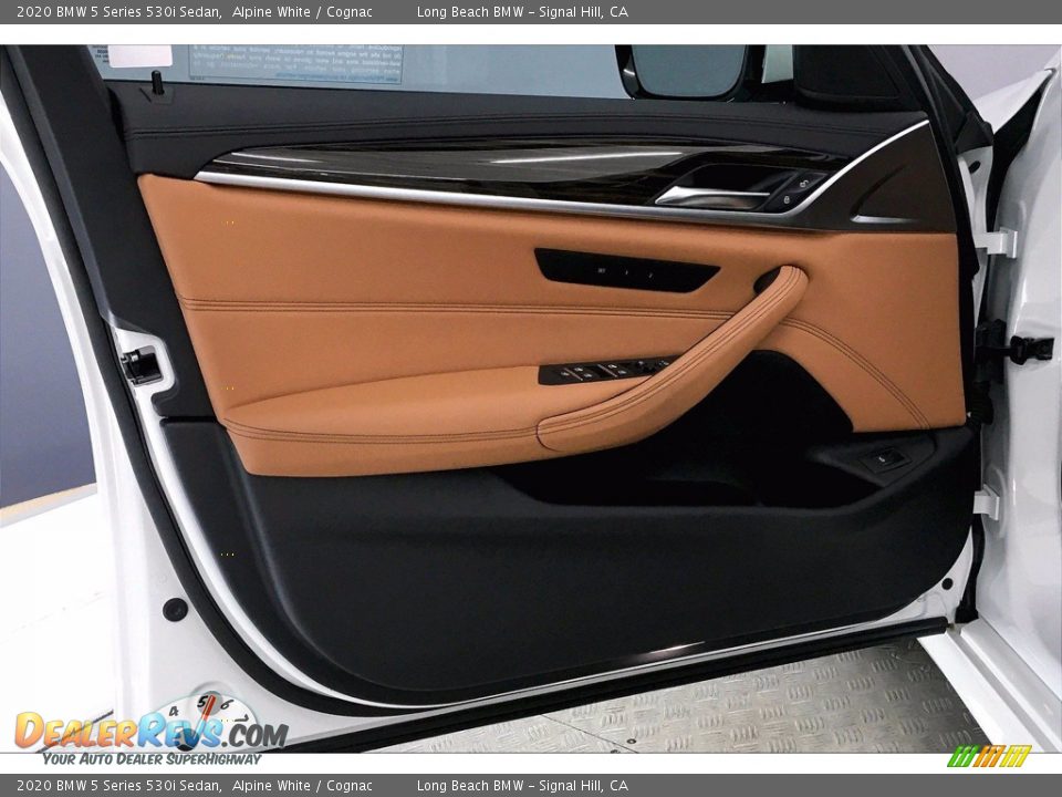 Door Panel of 2020 BMW 5 Series 530i Sedan Photo #23