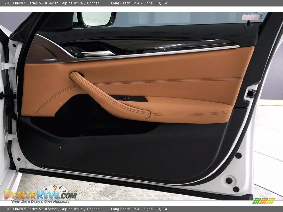 Door Panel of 2020 BMW 5 Series 530i Sedan Photo #24