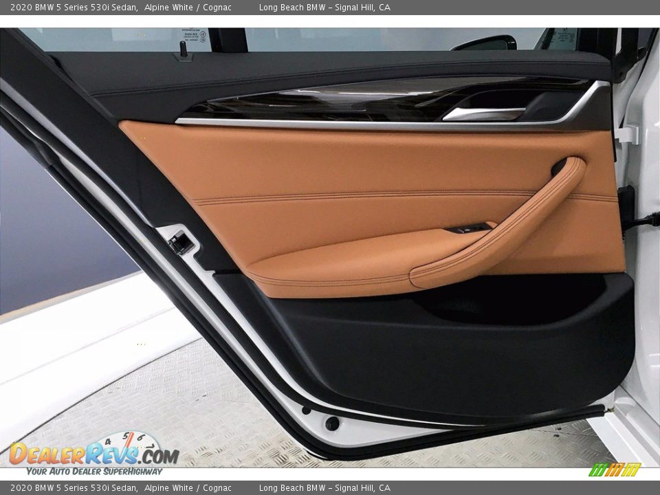 Door Panel of 2020 BMW 5 Series 530i Sedan Photo #25