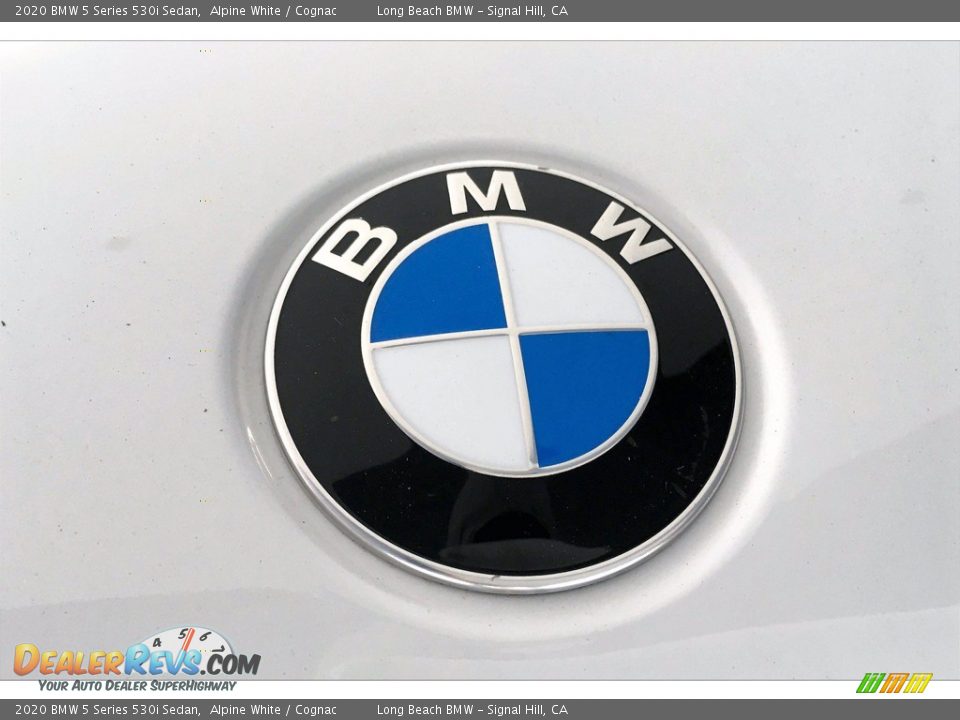 2020 BMW 5 Series 530i Sedan Logo Photo #33