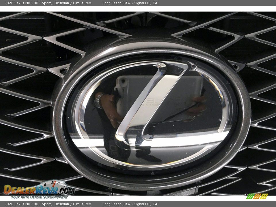 2020 Lexus NX 300 F Sport Obsidian / Circuit Red Photo #33