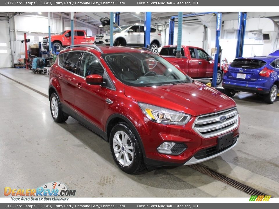 2019 Ford Escape SEL 4WD Ruby Red / Chromite Gray/Charcoal Black Photo #3