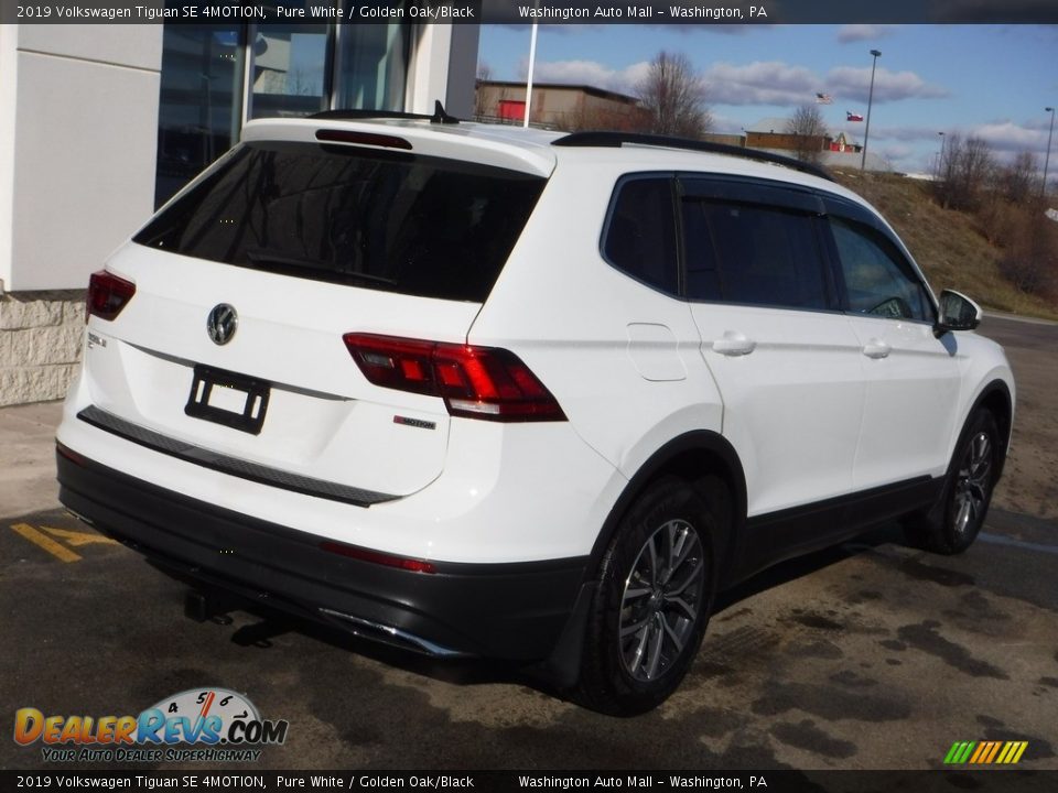 2019 Volkswagen Tiguan SE 4MOTION Pure White / Golden Oak/Black Photo #11