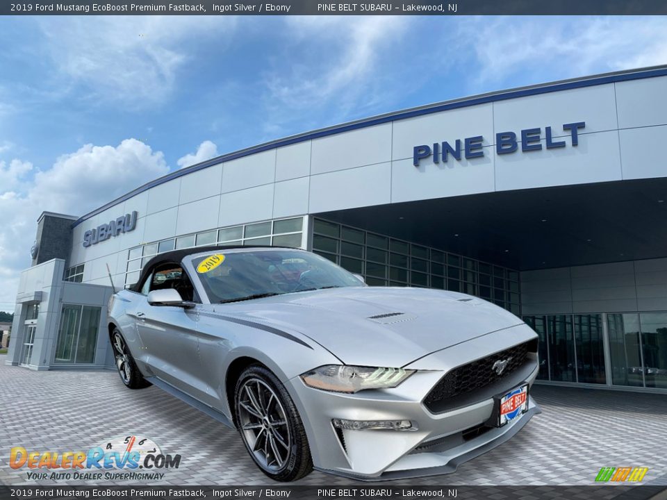 2019 Ford Mustang EcoBoost Premium Fastback Ingot Silver / Ebony Photo #1