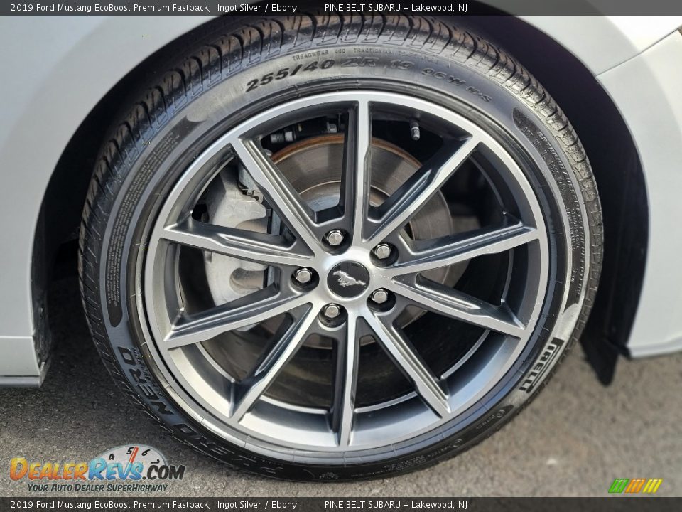2019 Ford Mustang EcoBoost Premium Fastback Wheel Photo #27
