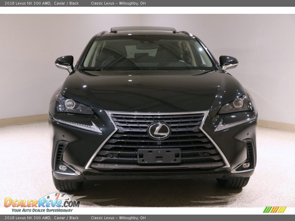 2018 Lexus NX 300 AWD Caviar / Black Photo #2