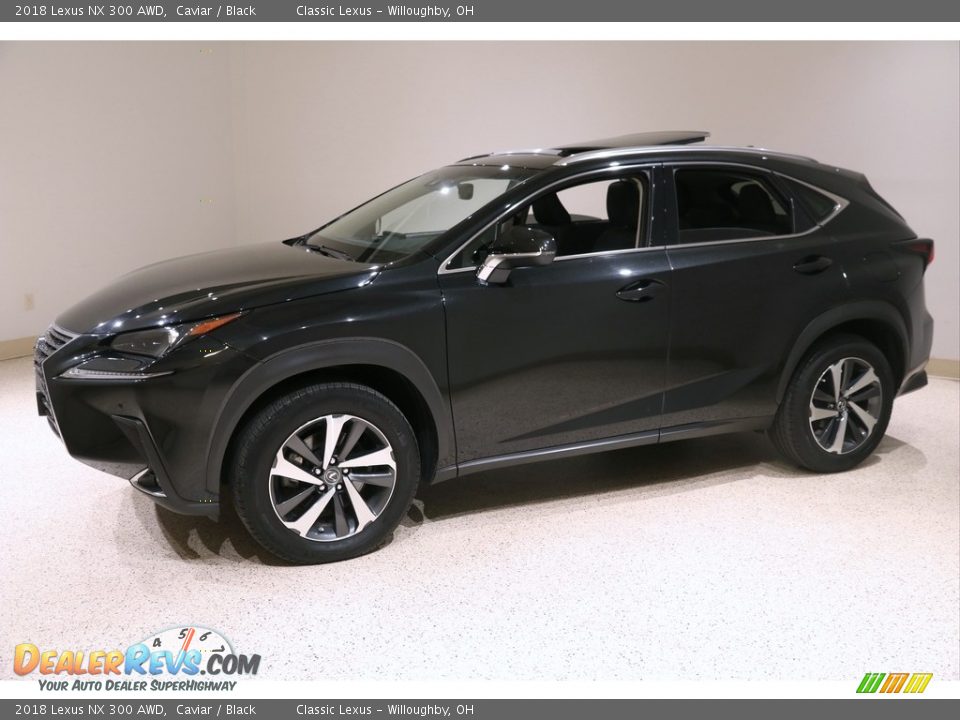 2018 Lexus NX 300 AWD Caviar / Black Photo #3