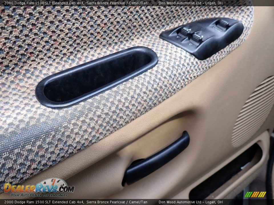 Door Panel of 2000 Dodge Ram 1500 SLT Extended Cab 4x4 Photo #7
