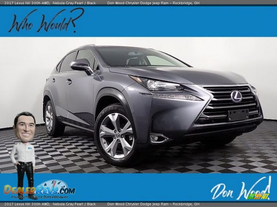 2017 Lexus NX 300h AWD Nebula Gray Pearl / Black Photo #1