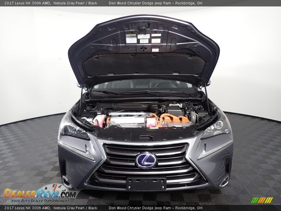 2017 Lexus NX 300h AWD Nebula Gray Pearl / Black Photo #8